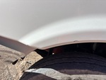 General Appearance with Paint