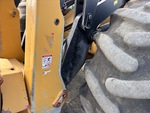 General Appearance with Paint