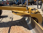General Appearance with Paint