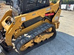 General Appearance with Paint