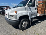 General Appearance with Paint