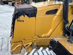 General Appearance with Paint