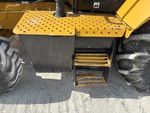 General Appearance with Steps/Ladders