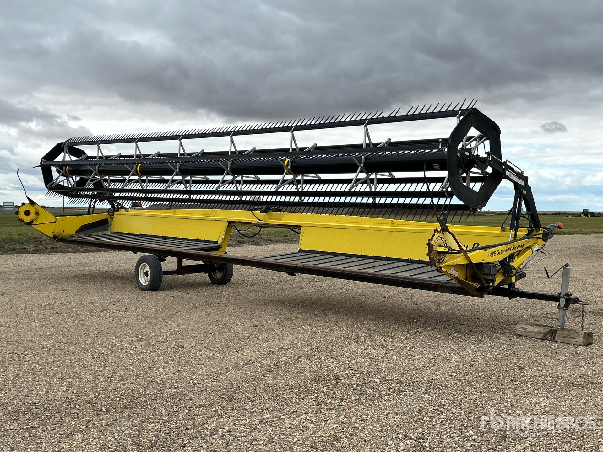 Photo of Honey Bee WS36