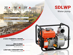 General Appearance with Featured Photo