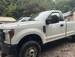 General Appearance with Pintura