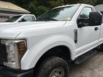 General Appearance with Paint