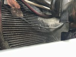 Engine with Radiator