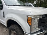 General Appearance with Paint