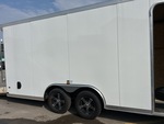 General Appearance with Paint