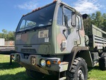 General Appearance with Paint