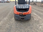 General Appearance with Pintura