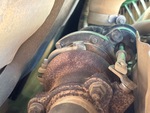 Engine with Exhaust System