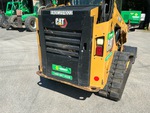 General Appearance with Paint