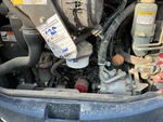 Engine with Exhaust System