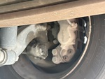 Brakes with
