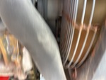 Engine with Cooling System Leaks