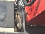 Chassis with Clavijas y bujes de la base del pescante