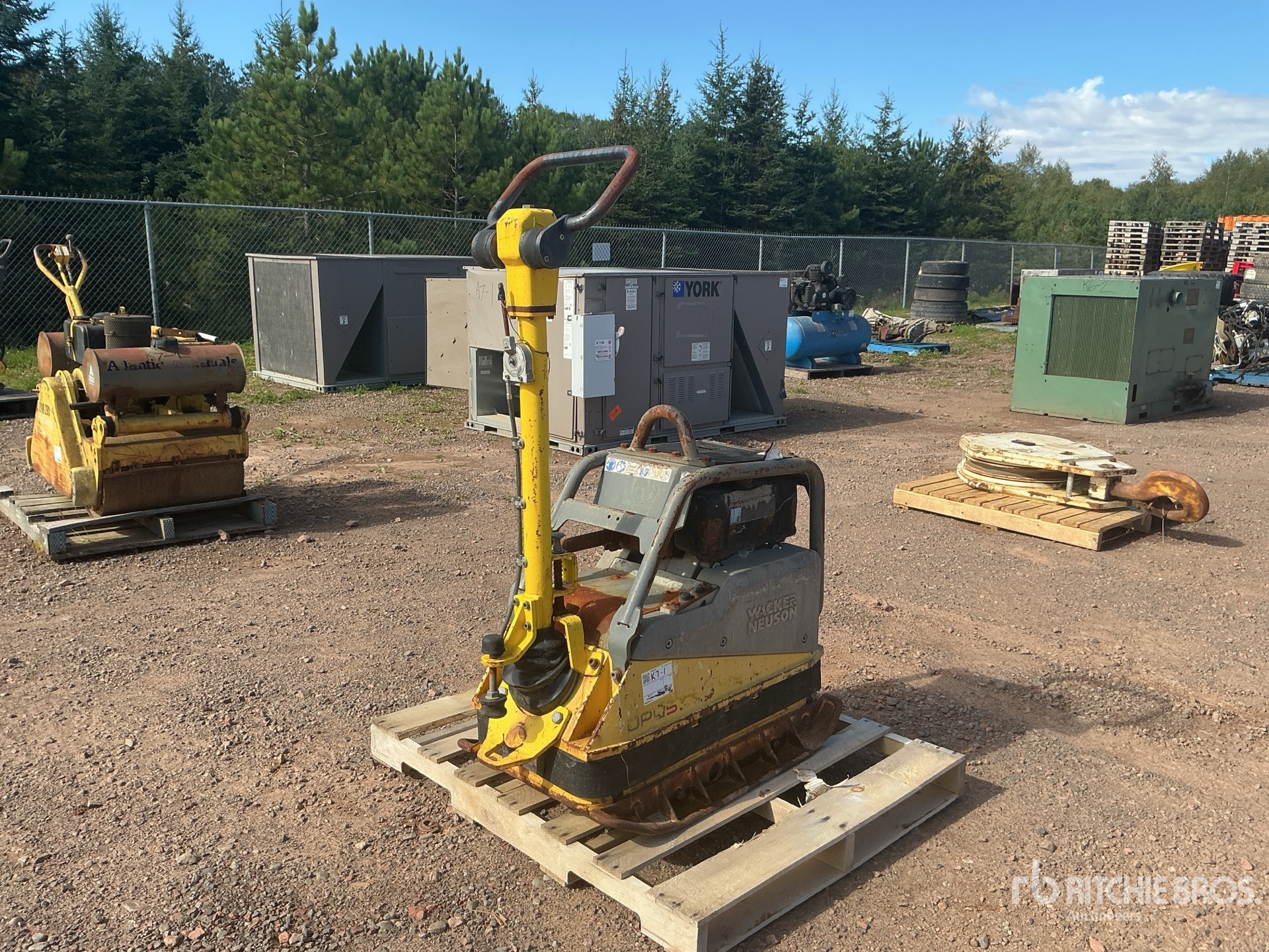 2011 Wacker Neuson DPU5545HE