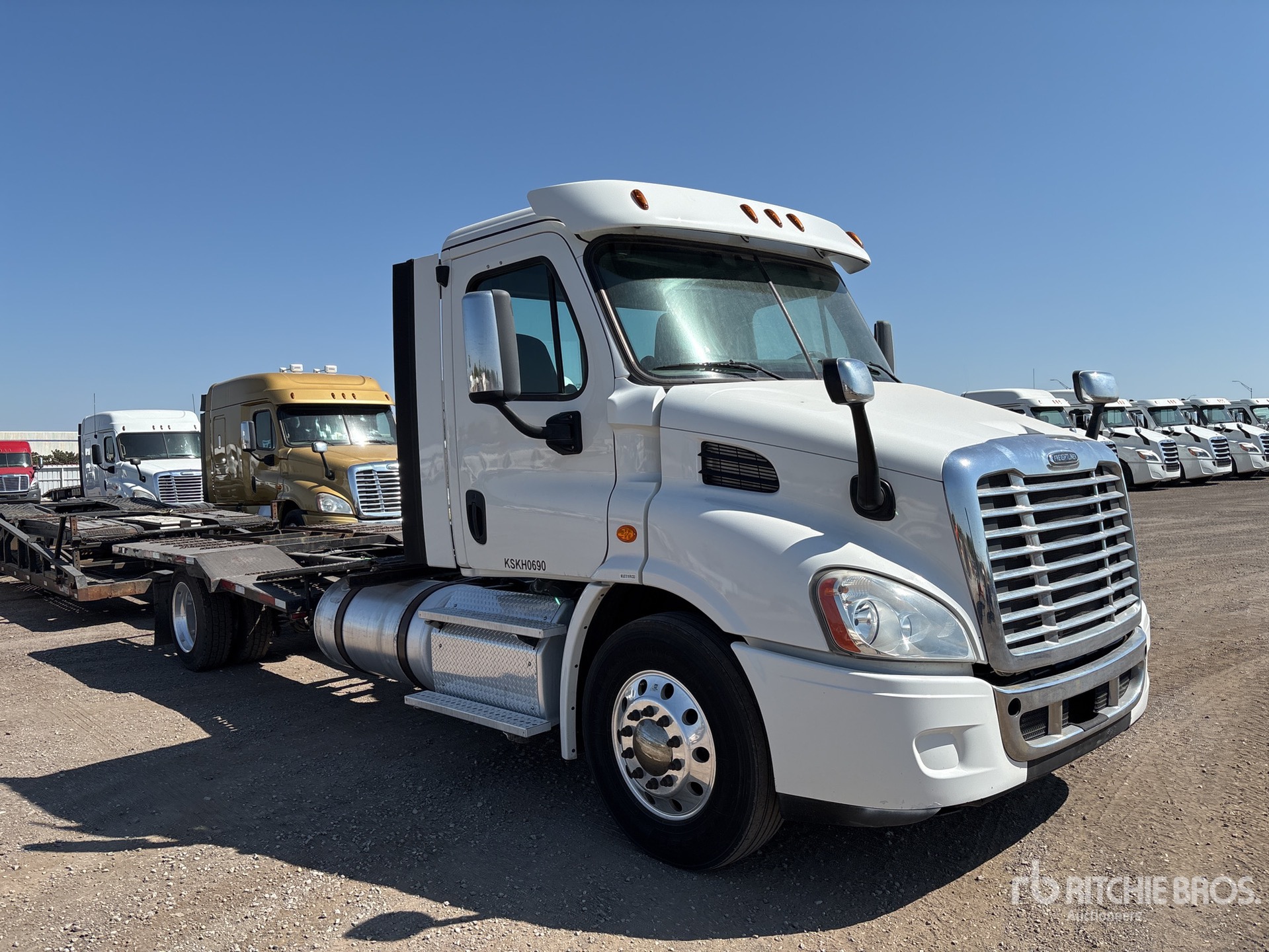 2019 Freightliner CASCADIA 113