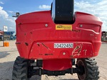 General Appearance with Paint