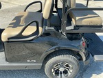General Appearance with Paint