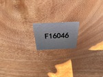 General Appearance with Numero seriale/numero d’identificazione del veicolo (VIN)
