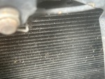 Engine with Radiator