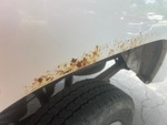 General Appearance with Paint