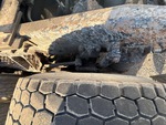 4 Underbody - Truck with