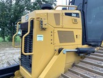 General Appearance with Pintura