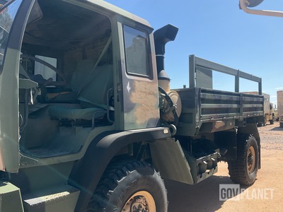 General Appearance with Paint
