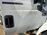 General Appearance with Pintura