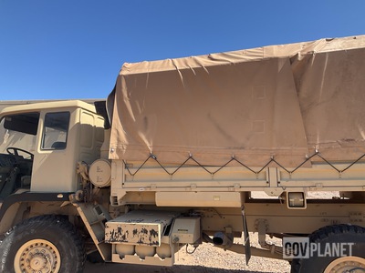 General Appearance with Paint