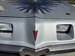 General Appearance with Pintura