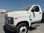 General Appearance with Paint