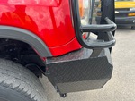 General Appearance with Paint