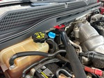 Engine with DEF / AdBlue Tank