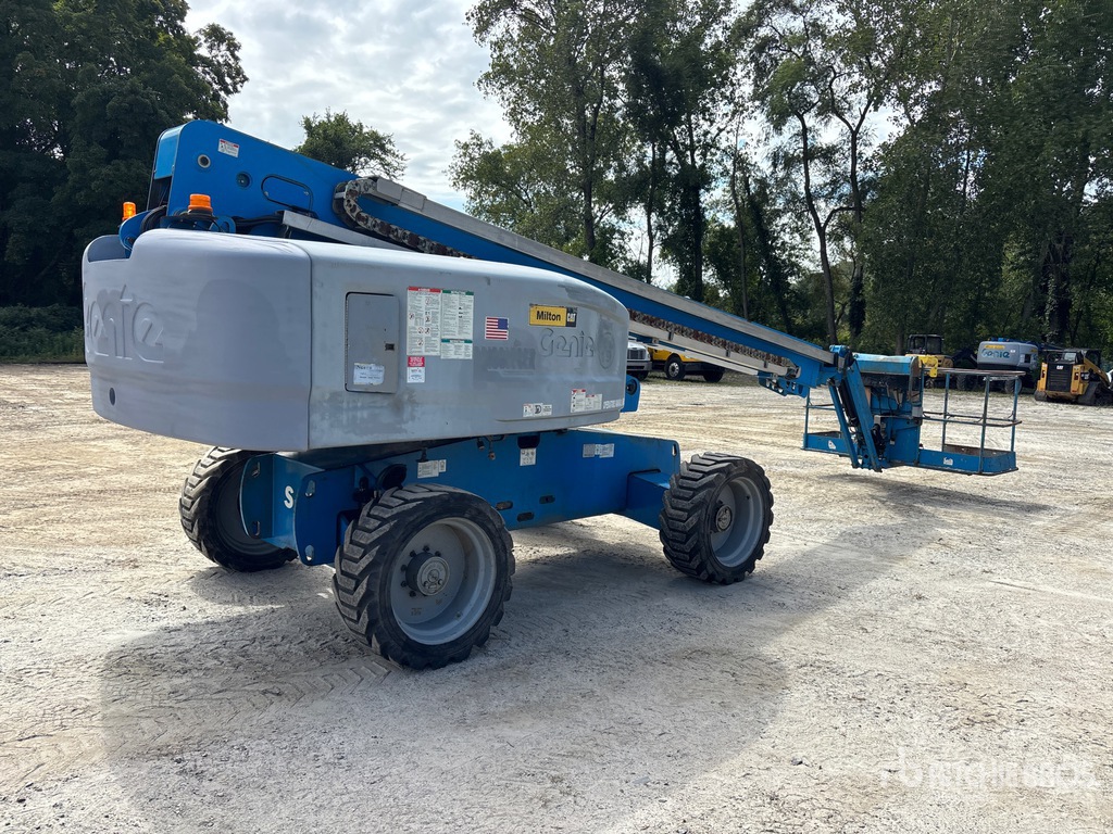 General Appearance with Zdjęcie, prawy dolny róg