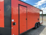 General Appearance with Pintura