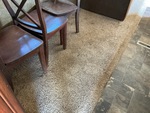 Interior with Carpet