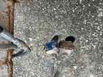 Chassis Photos with