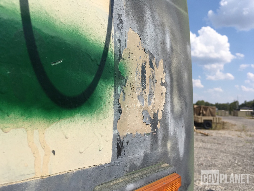 General Appearance with Paint