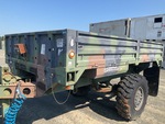 General Appearance with Paint