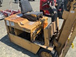 General Appearance with Paint