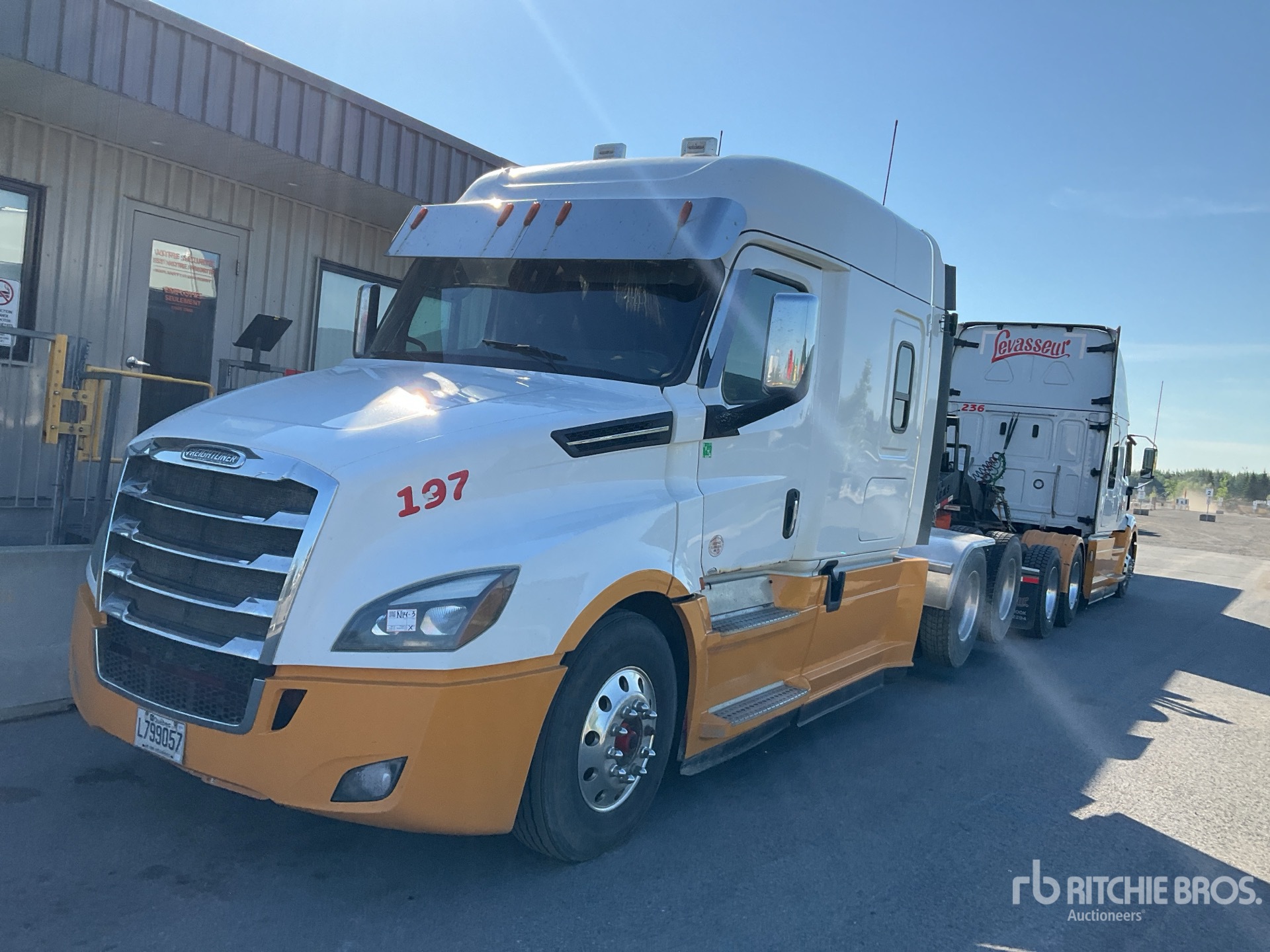 2019 Freightliner CASCADIA 126