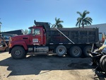 General Appearance with Pintura