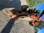 Chassis with Balken Führungsrolle