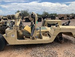 General Appearance with Paint