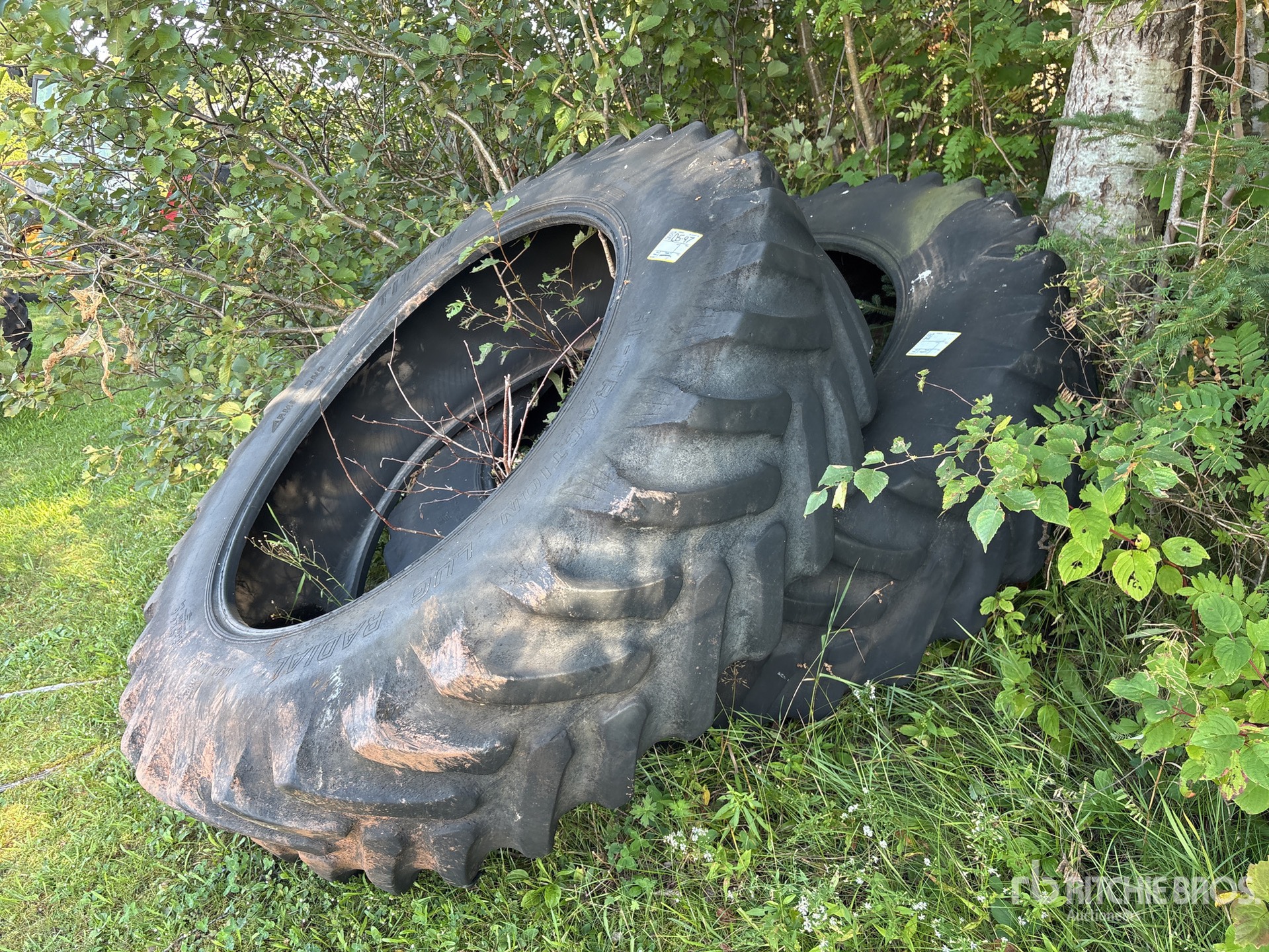 Photo of Titan Quantity of (2) 18.4R46